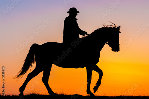 Horseback riding in the sunset © Szasz-Fabian Jozsef