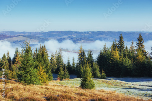 Fototapeta Naklejka Na Ścianę i Meble -  Winter landscape glowing by sunlight. Dramatic scene. Scenic fog