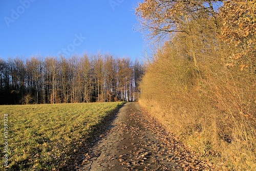 Der Wanderweg um Obersteimel, Gemeinde Reichshof photo