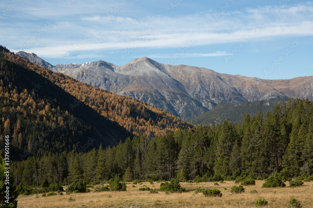 Obraz premium Panorama Schweizerischer Nationalpark