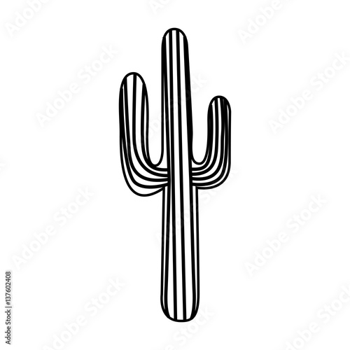 cactus desert plant icon vector illustration design