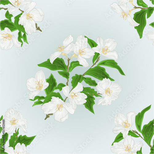 Seamless texture flower Jasmine  branch isolated on blue background  vintage vector illustration