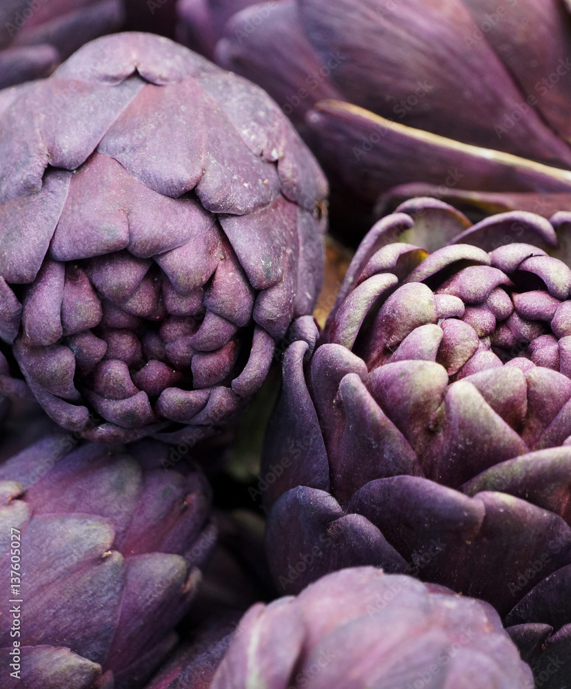 Obraz premium Purple artichokes