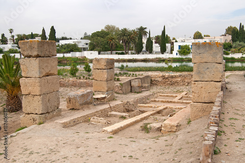 Ruins of military port in Carthage, Tunisia