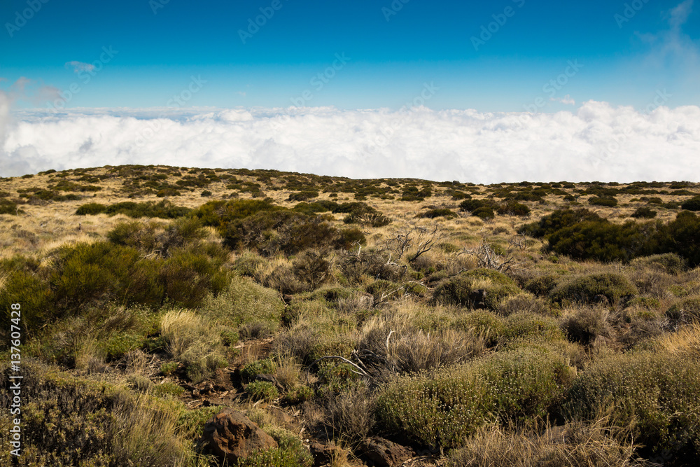 View over clouds in Teide National Park in Tenerife