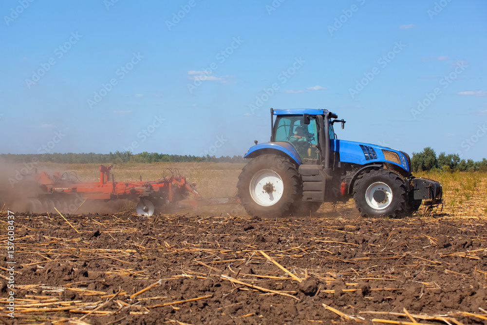 Obraz premium Big tractor plows the field and removes the remains of previously mown sunflower. Work agricultural machines.