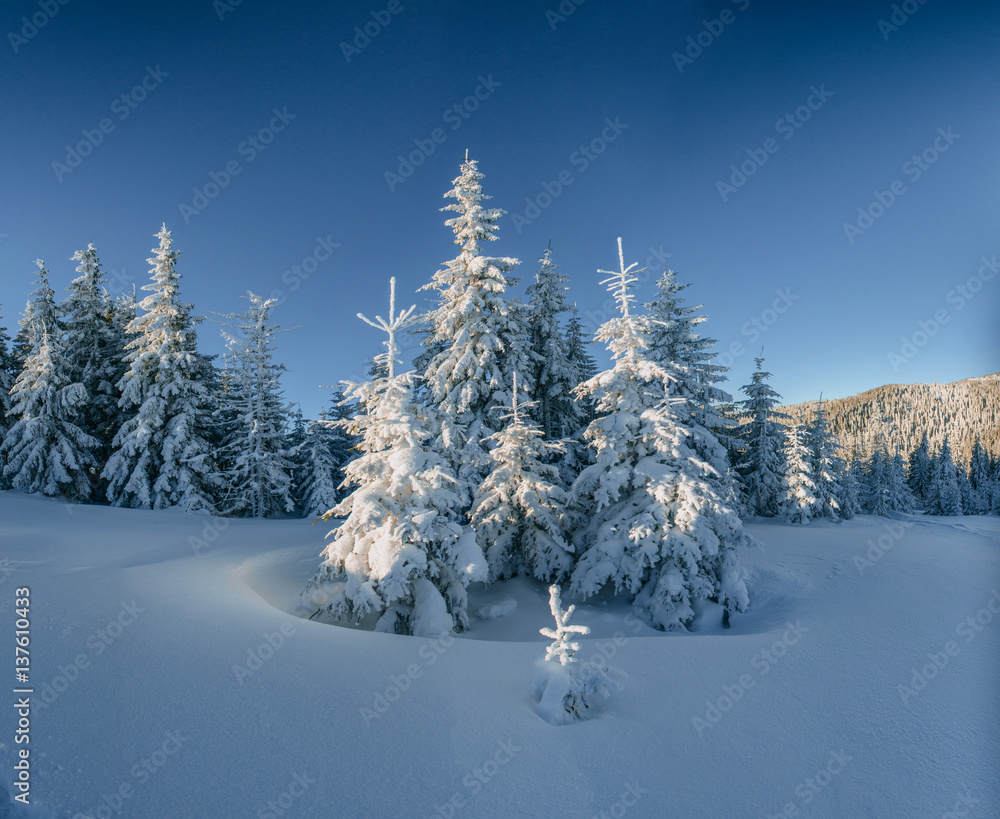 Mysterious winter landscape majestic mountains Mysterious winter landscape majestic mountains