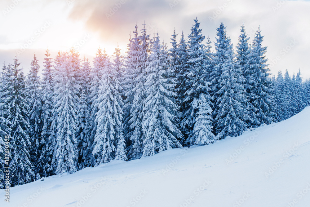 Mysterious winter landscape majestic mountains