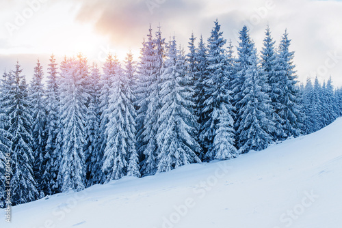 Mysterious winter landscape majestic mountains