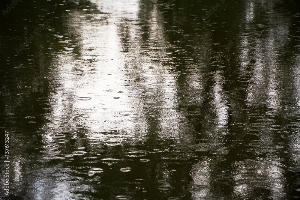 Reflections of trees in the pond wrinkled rain.
The surface of the pond during the rain. Reflections of trees in the pond wrinkled rain.
The surface of the pond during the rain.