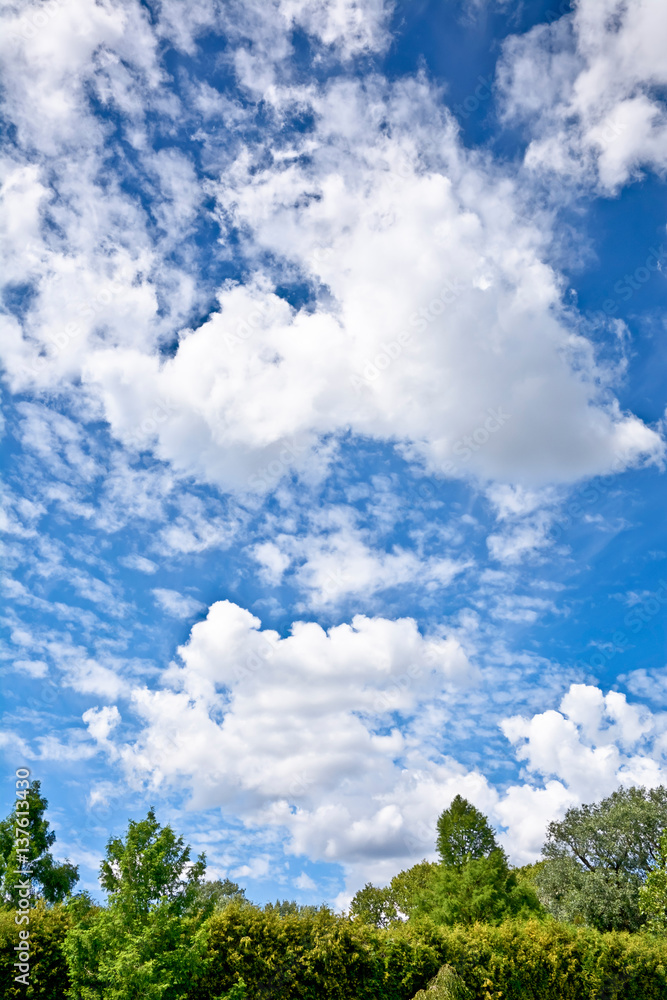 Landscape with clouds on a blue sky.
Pleasant sunny summer day. Landscape with clouds on a blue sky.
Pleasant sunny summer day.