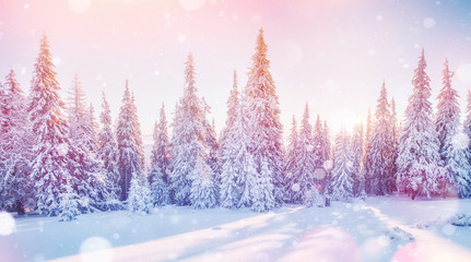 Mysterious winter landscape majestic mountains in 
