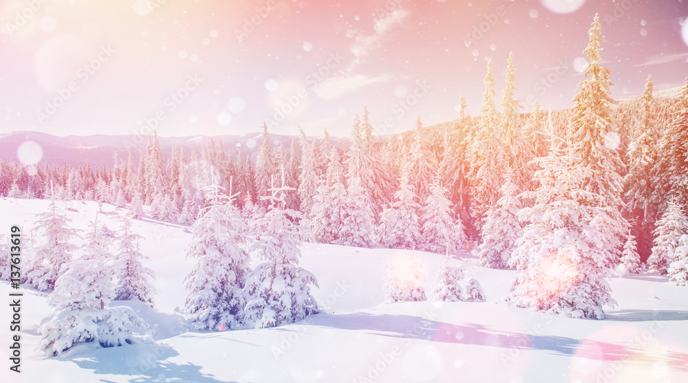 Naklejka premium winter landscape trees in hoarfrost, background with some soft h