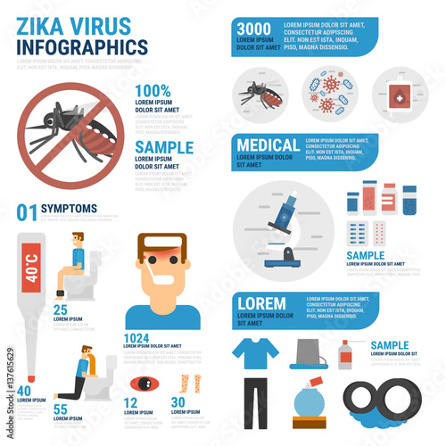 Zika virus and dengue virus infographic. Vector flat design.