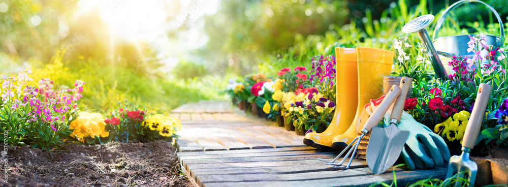 Fototapeta Ogrodnictwo - zestaw narzędzi dla ogrodnika i doniczki w słonecznym ogrodzie