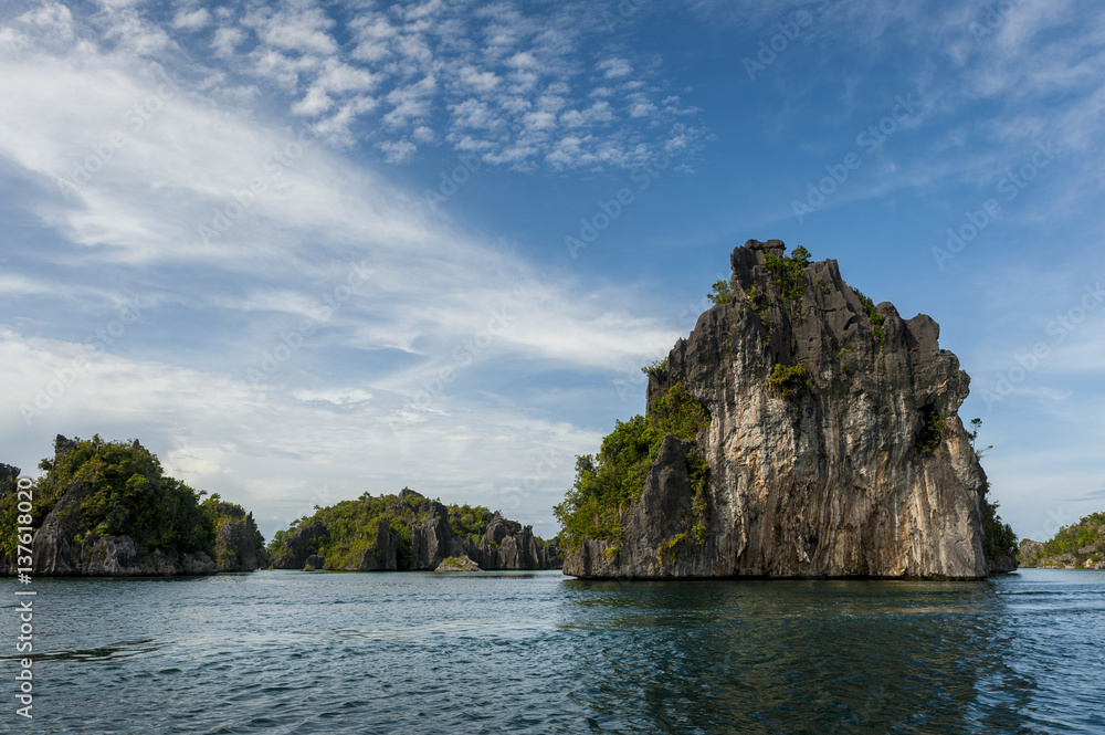 Raja Ampat Limestone Islands, Indonesia. Raja Ampat is considered the global epicenter of tropical marine bio-diversity. Steep, limestone jungle-covered islands are what you see on the surface. 