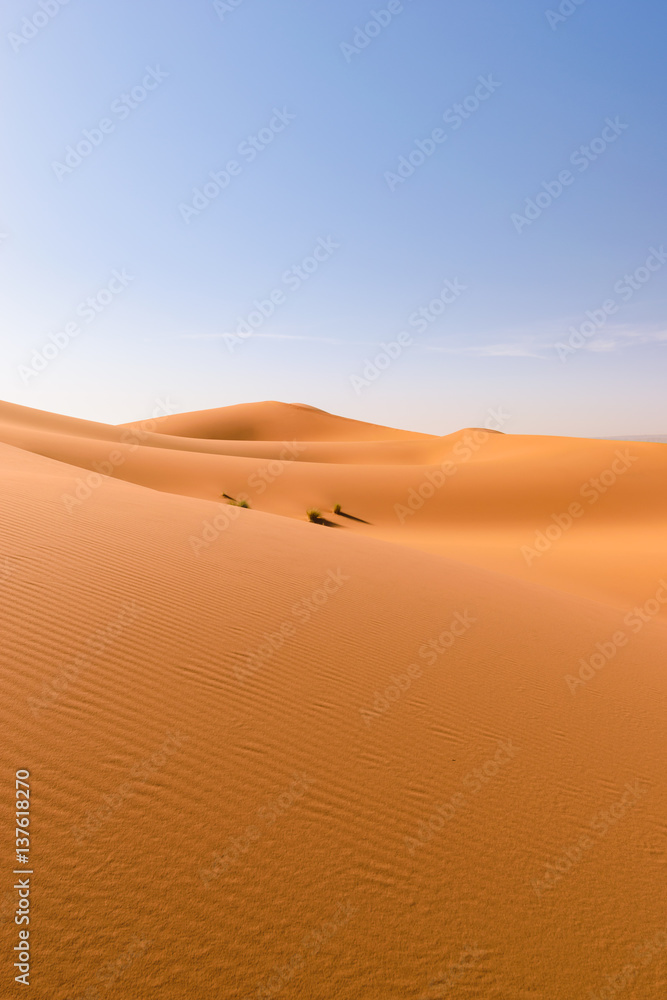 Sahara Erg Chebbi dunes, Merzouga, Morocco 