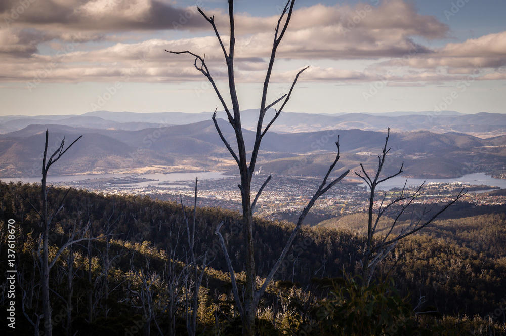 View from Mount Wellington with dead trees overlooking the city of Hobart, Tasmania, Australia View from Mount Wellington with dead trees overlooking the city of Hobart, Tasmania, Australia