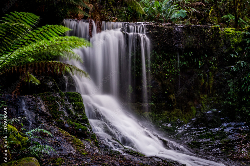 Horseshoe Falls in Mt. Field National Park, Tasmania, Australia