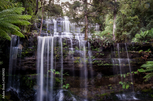 Closeup of Russell Falls in Mount Field National Park  Tasmania  Australia