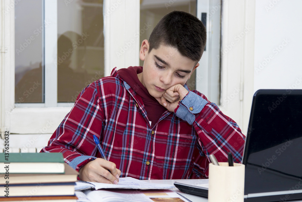 child at the school desk studying child at the school desk studying