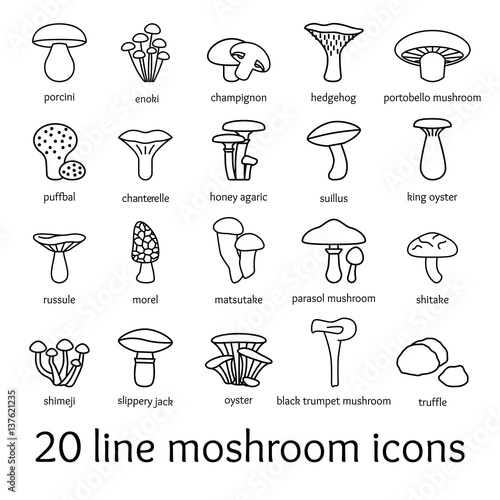 twenty line mosroom icons