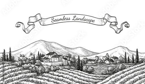 Vineyard seamless landscape.