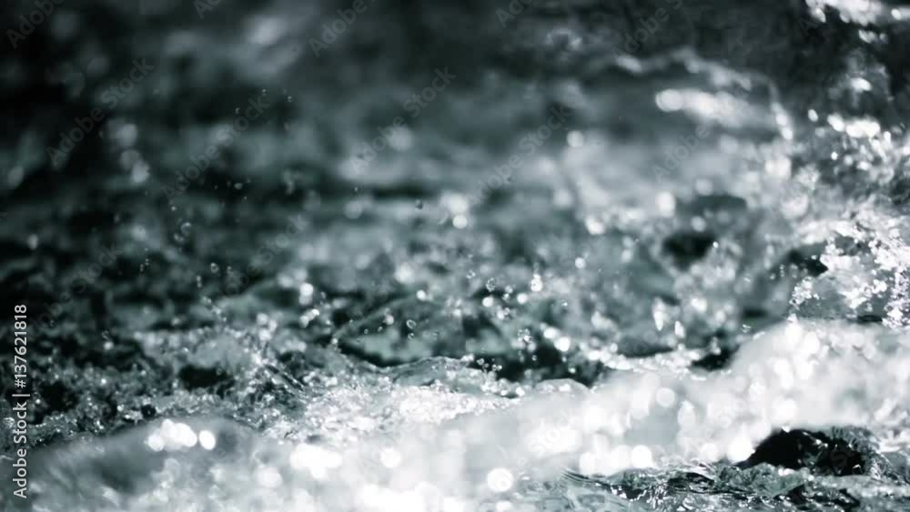 Dark Water Dark Water