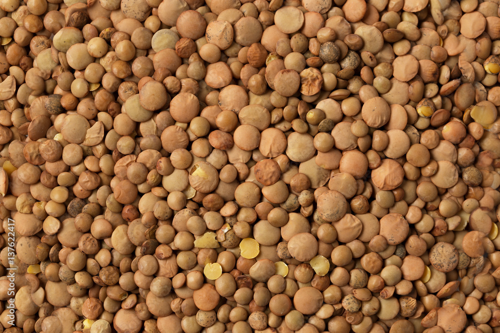 Dry brown lentils beans close up textured background Dry brown lentils beans close up textured background