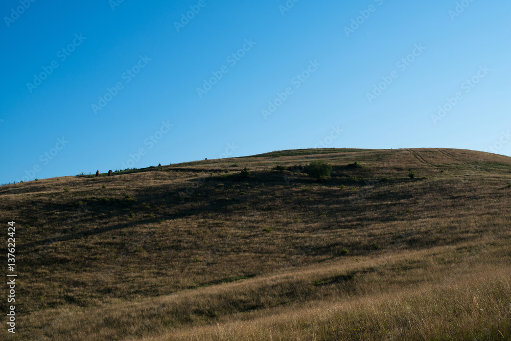 The mountainside overgrown with grass in the Ukrainian Carpathians The mountainside overgrown with grass in the Ukrainian Carpathians