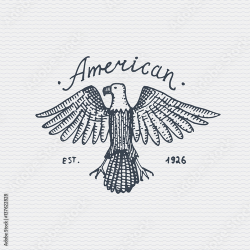 vintage old logo or badge, label engraved and old hand drawn style with wild bald eagle