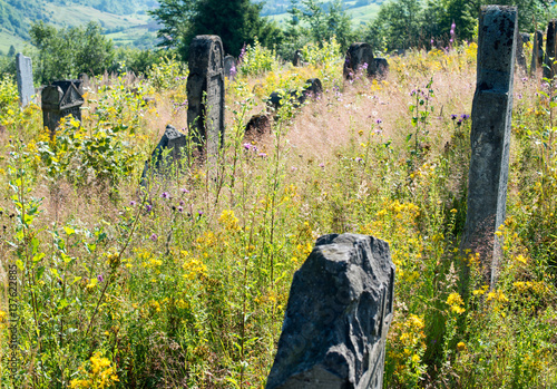 Old abandoned Jewish cemetery in the Ukrainian Carpathians photo