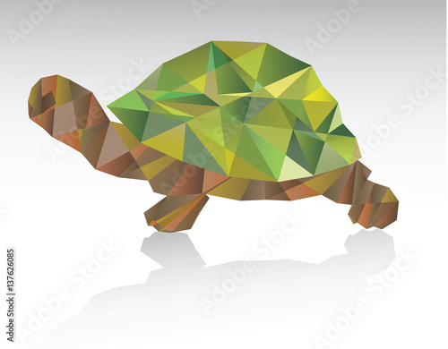 Mosaic turtle