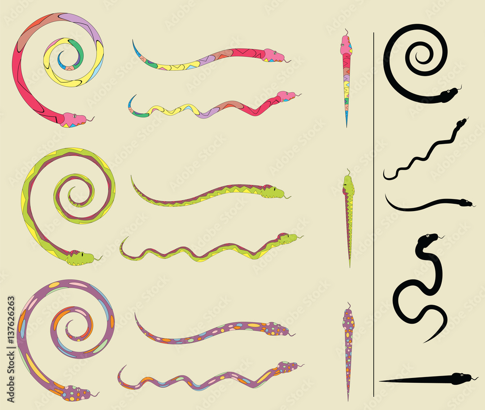 Naklejka premium Set of colorful snake brushes 
