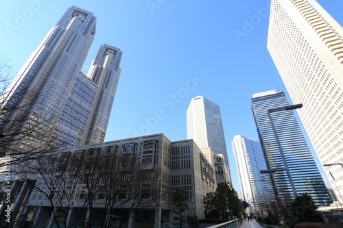 新宿にそびえ立つ東京都庁と高層ビル群