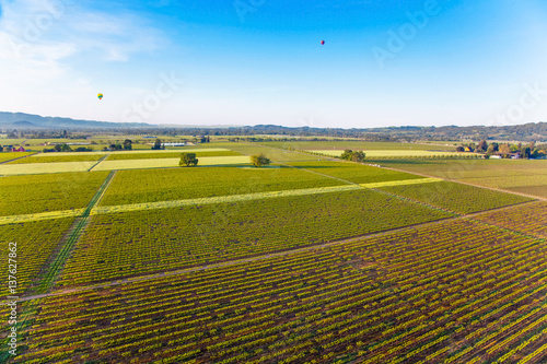 Hot Air Balloon Over Vineyards At Sunrise Over Napa Valley, Napa, California USA
