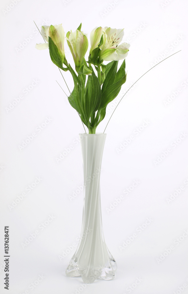 Beautiful flowers in white vase and on white background Beautiful flowers in white vase and on white background