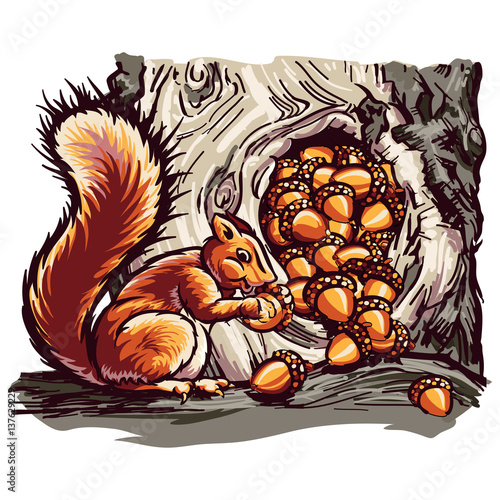 Squirrel storing nuts in the hollow knot of a tree.
