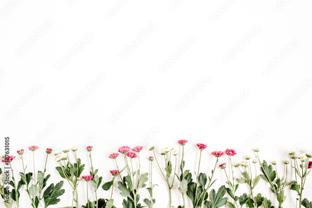 Red and white wildflowers on white background. Flat lay, top view
