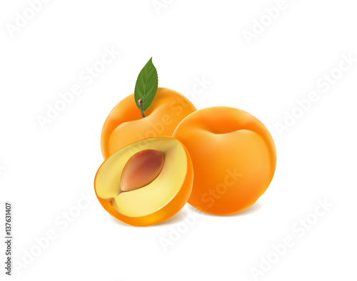 ripe apricots on a white background