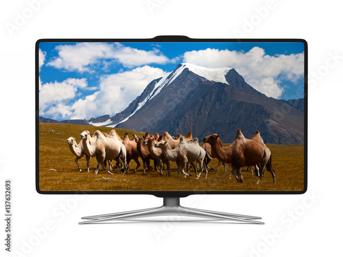 TV on white background. Iso...