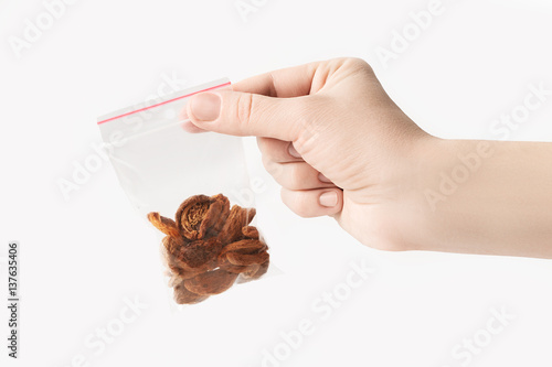 Hand holding Plastic transparent zipper bag with half home dried apricots isolated on white  Vacuum package mockup with red clip. Concept.