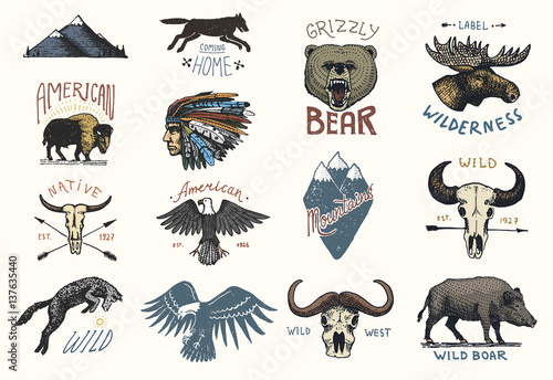 set of engraved vintage, hand drawn, old, labels or badges for camping, hiking, hunting with boar, bear and wolf, red fox . skull and bald eagle, moose face, indian or native american. buffalo