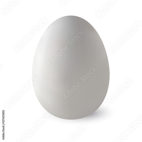 Realistic white ostrich egg with shadow. Isolated on white background. Made with gradient mesh, textured. Vector illustration.