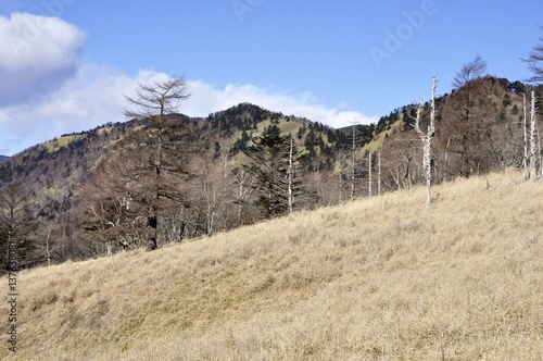 奥秩父山塊 古礼山と燕山