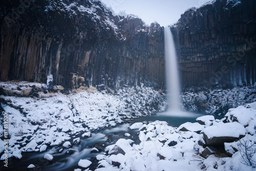 Svartifoss waterfall in winter at Skaftafell, Iceland photo