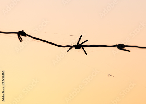 Barbed wire at sunset