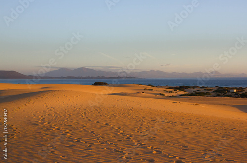 Slope hill sand on yellow dunes on blue sky background. Sustainable ecosystem. Spain  Canary islands  Fuerteventura