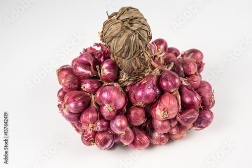 Shallots on while background