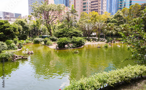 Wallpaper Mural Kowloon Park, Hong Kong, surrounded by high-rise offices and apartments Torontodigital.ca